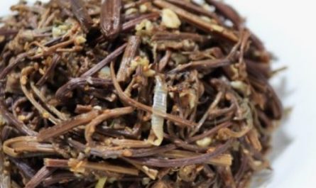 5 Spiritual Meanings of Dream about eating ferns