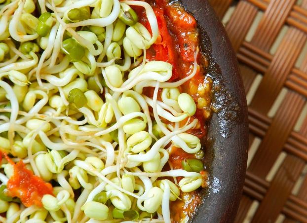 5 Spiritual Meanings of Dream about bean sprouts