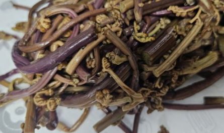 5 Spiritual Meanings of Dreaming about ferns