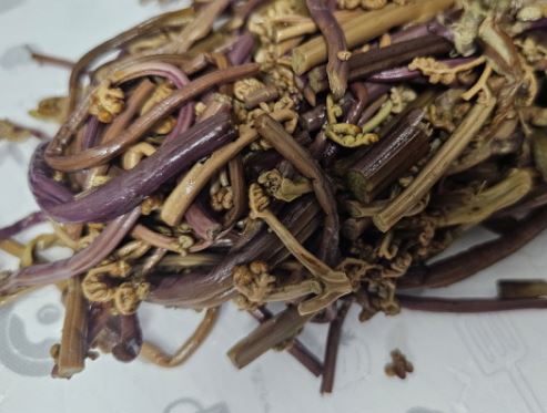 5 Spiritual Meanings of Dreaming about ferns