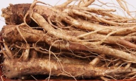 5 Spiritual Meanings of Dream about eating bellflowers