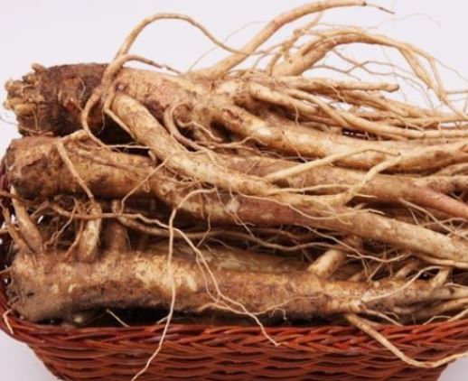 5 Spiritual Meanings of Dream about eating bellflowers