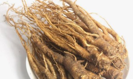 5 Spiritual Meanings of Dream about bellflowers