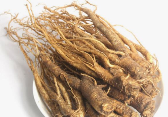 5 Spiritual Meanings of Dream about bellflowers