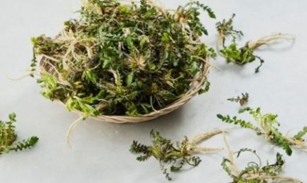 5 Spiritual Meanings of Dream about eating horseradish