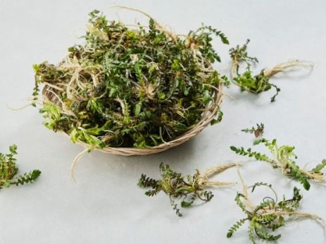 5 Spiritual Meanings of Dream about eating horseradish