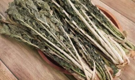 5 Spiritual Meanings of Dreaming of eating cabbage