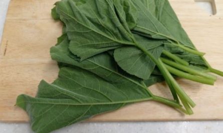 5 Spiritual Meanings of Dream about pumpkin leaves