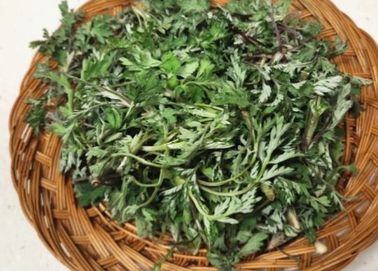 5 Spiritual Meanings of Dream about eating mugwort