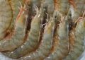 5 Spiritual Meanings of Dream about raw shrimp