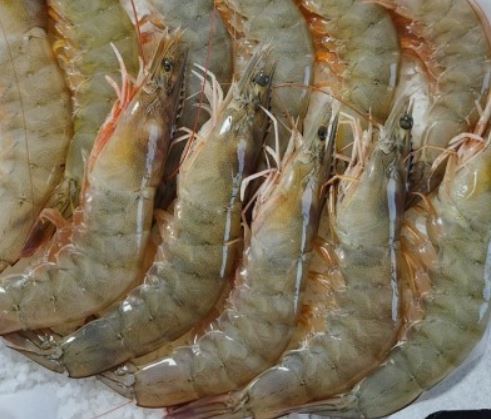 5 Spiritual Meanings of Dream about raw shrimp