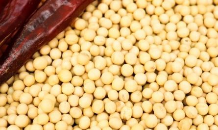5 Spiritual Meanings of Dream about soybeans