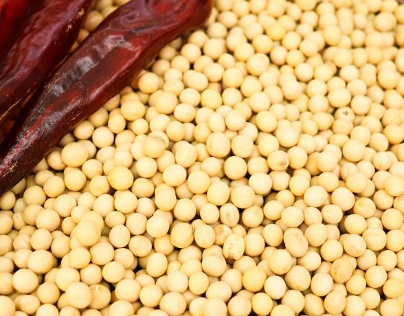 5 Spiritual Meanings of Dream about soybeans