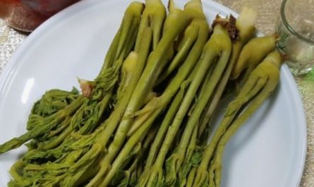 5 Spiritual Meanings of Dreaming of sauerkraut heads