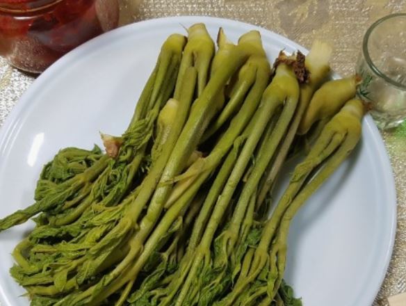 5 Spiritual Meanings of Dreaming of sauerkraut heads