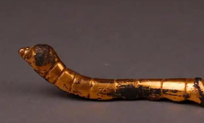 5 Spiritual Meanings of Dreaming of a golden bug