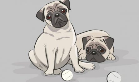 15 Symbolic Meanings of Dreaming About Owning a Dog