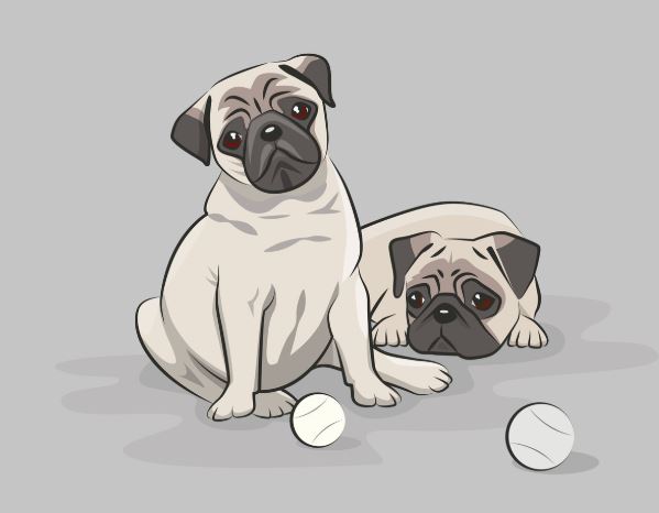 15 Symbolic Meanings of Dreaming About Owning a Dog