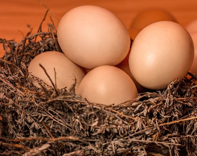 17 Symbolic Meanings of Dreaming of Boiled Eggs