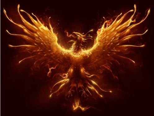 24 symbolic meanings of dreaming about a phoenix