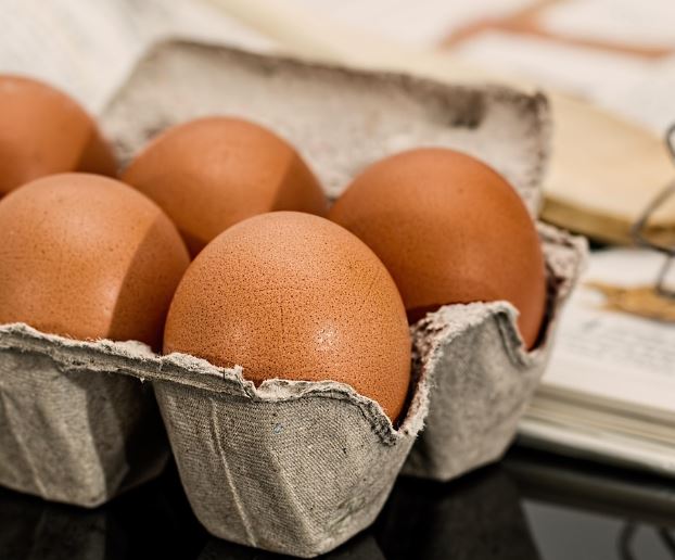 16 symbolic meanings of dreaming about eggs