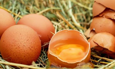 15 symbolic meanings of dreaming about egg yolks