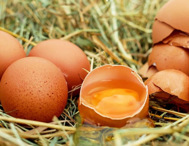 15 symbolic meanings of dreaming about egg yolks