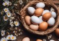 16 Symbolic Meanings of Dreaming About Eating Boiled Eggs