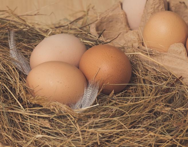 17 Symbolic Meanings of Dreaming of Picking Up Eggs