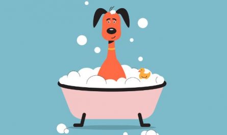 11 symbolic meanings of dreaming about swimming in the bathroom