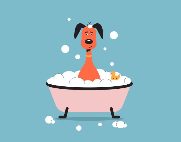 11 symbolic meanings of dreaming about swimming in the bathroom