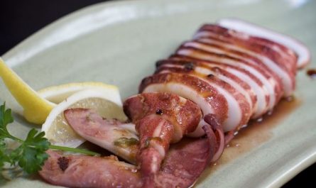 18 Symbolic Meanings of Dreaming About Squid