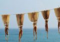 16 Symbolic Meanings of Dreaming About Dried Squid