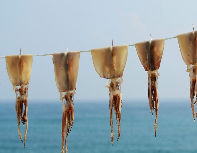 16 Symbolic Meanings of Dreaming About Dried Squid