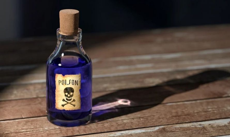 13 Symbolic Meanings of Dreaming About Poison