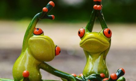 13 Symbolic Meanings of Dreaming of a Giant Frog