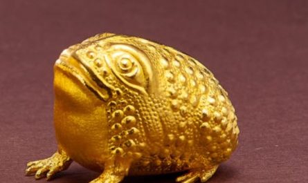 13 Symbolic Meanings of Dreaming of a Golden Frog