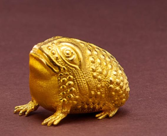 13 Symbolic Meanings of Dreaming of a Golden Frog