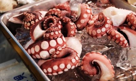 11 symbolic meanings of dreaming about an octopus