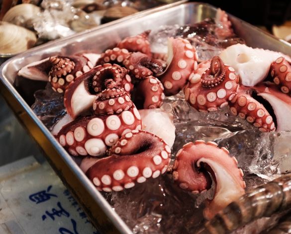 11 symbolic meanings of dreaming about an octopus
