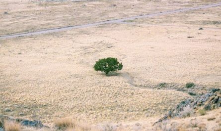 Dreaming of Land : 16 Meaning & Interpretations