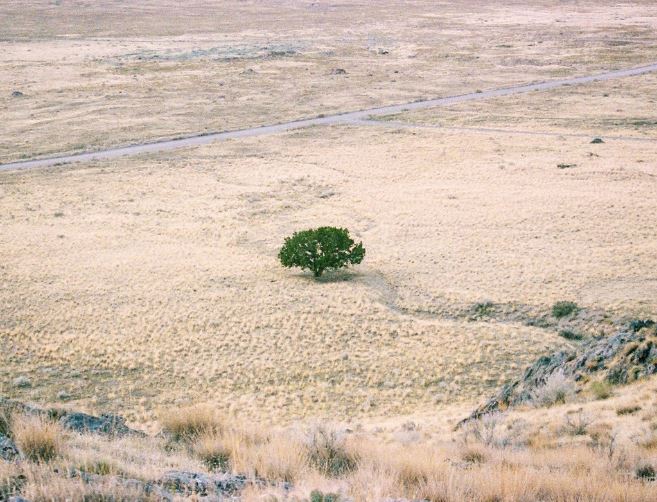 Dreaming of Land : 16 Meaning & Interpretations