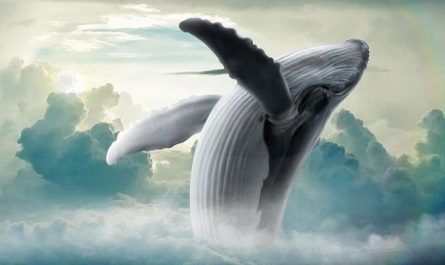 Dreaming of Whales : 9 Meaning & Interpretations