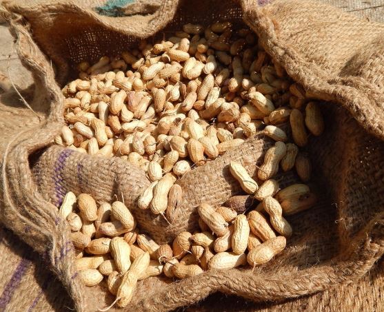 10 Spiritual Meanings of Dreaming About Peanuts