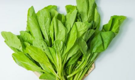 12 Symbolic Meanings of Dreaming About Spinach