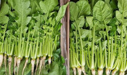 11 Symbolic Meanings of Dreaming about Radishes