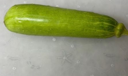 8 Symbolic Meanings of Dreaming about Zucchini