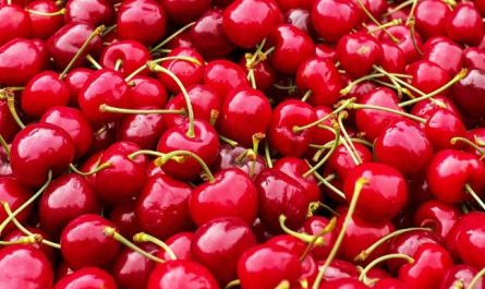 10 Symbolic Meanings of Dreaming about Cherries