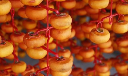 8 Symbolic Meanings of Dreaming about Dried Persimmons