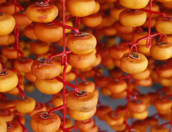 8 Symbolic Meanings of Dreaming about Dried Persimmons